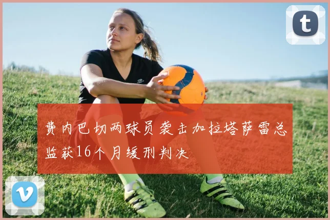 费内巴切两球员袭击加拉塔萨雷总监获16个月缓刑判决