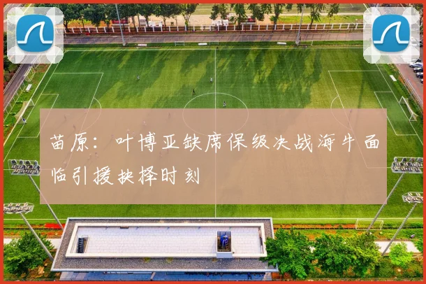 苗原:叶博亚缺席保级决战海牛面临引援抉择时刻