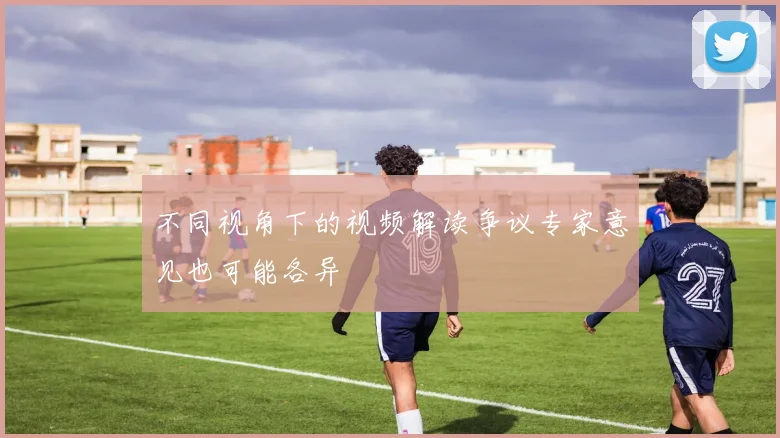 不同视角下的视频解读争议专家意见也可能各异