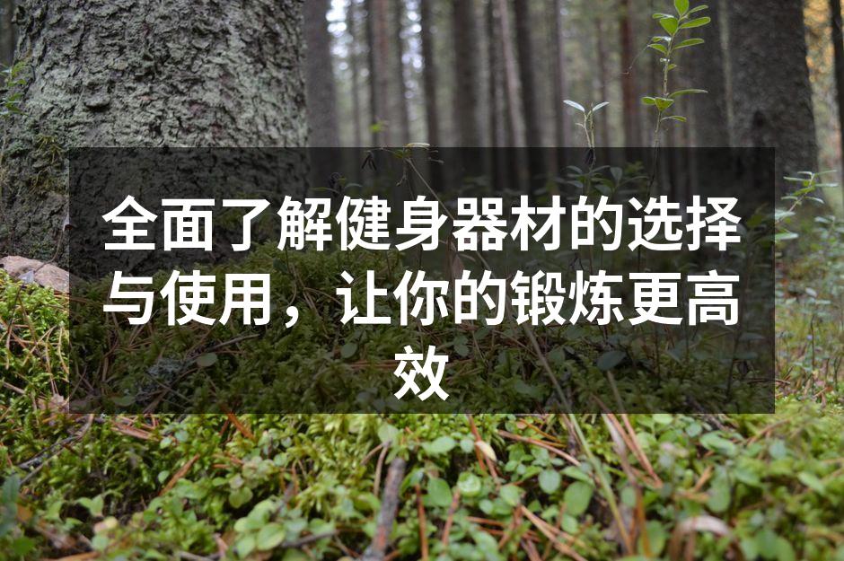 多种健身器材,满足不同需求